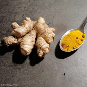 Ingwer frisch Rhizom, Kurkuma Pulver