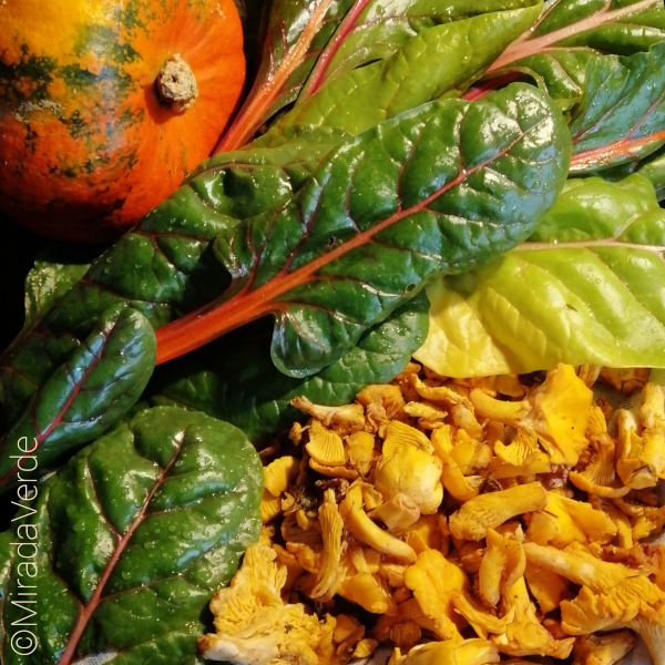 Kürbis, Mangold, Eierschwammerl