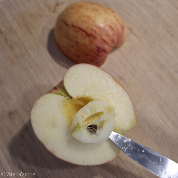 Gala Äpfel entkernen