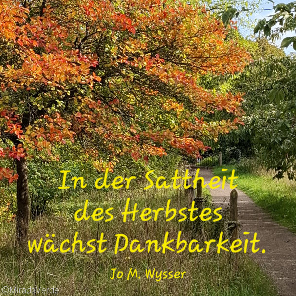 Herbstbaum mit Zitat