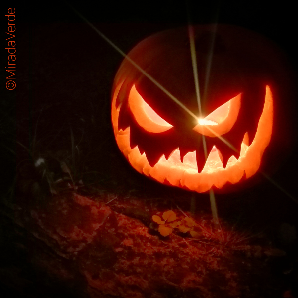 Kürbis geschnitzt, Jack O'Lantern