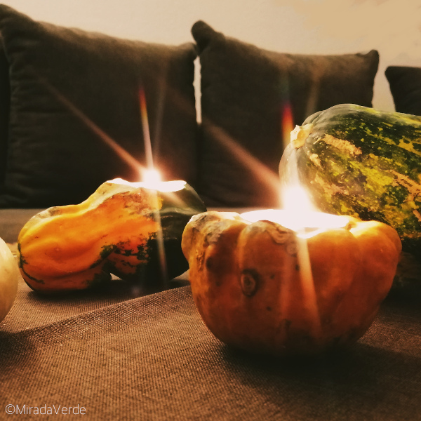 Mini Kürbislichter