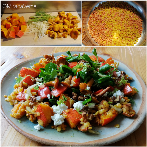 Linsensalat mit Kürbis, Eierschwammerl und Fenchel