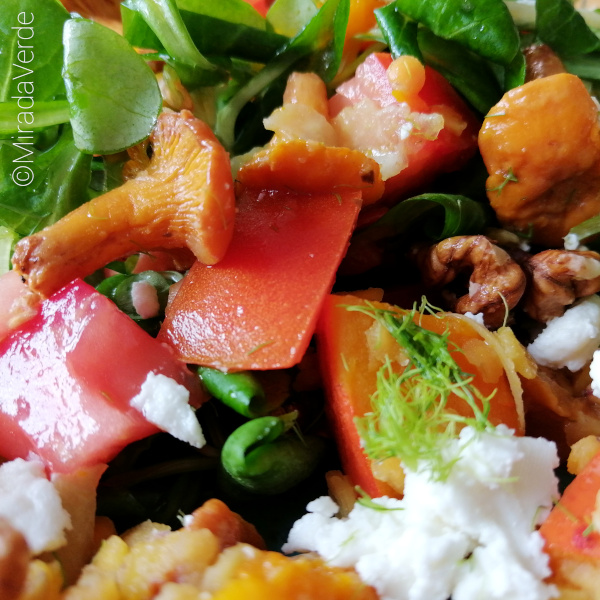 Linsensalat mit Kürbis, Eierschwammerl und Fenchel