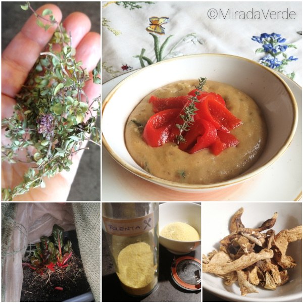Steinpilzpolenta