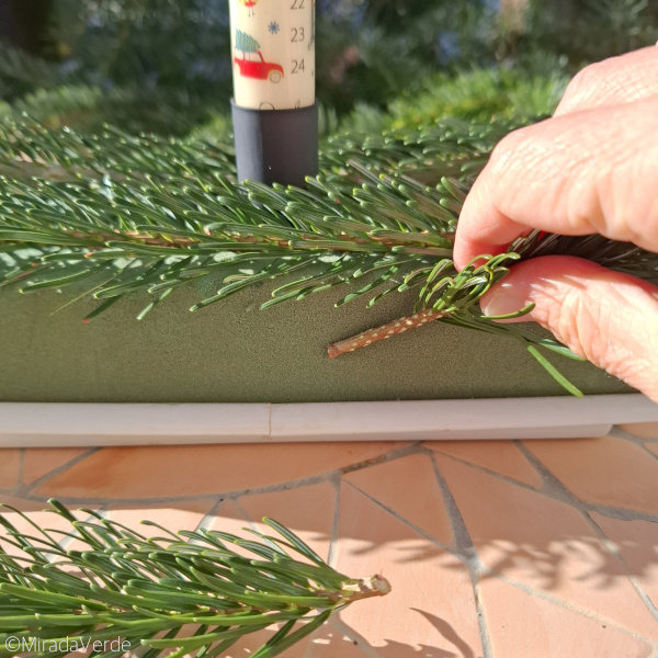 Tanne Gesteck Advent