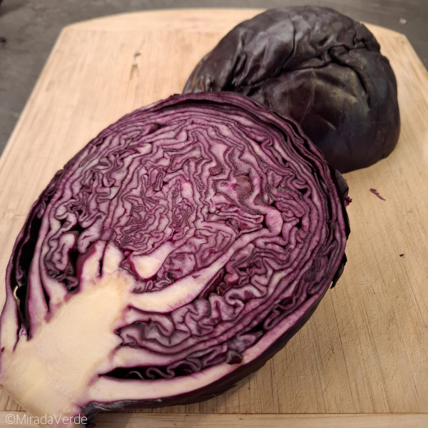 Blaukraut Kopf halbiert
