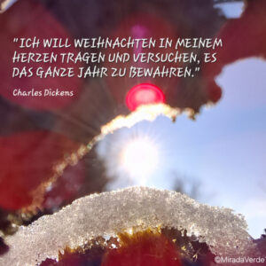 Fröhliche Weihnachten