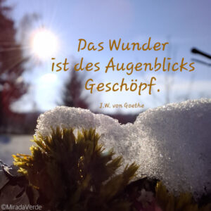 Wundervolles 2025. Zitat Wunder Augenblick
