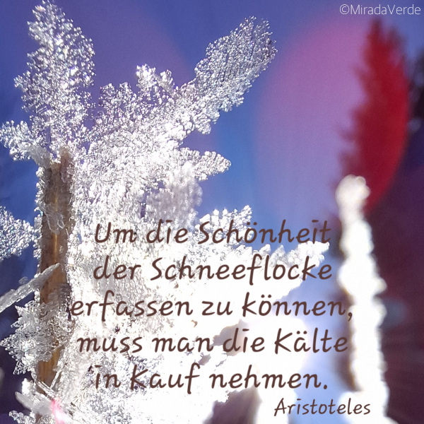 Schönheit der Schneeflocken Zitat. Blauer Himmel, Eiskristall, Makro