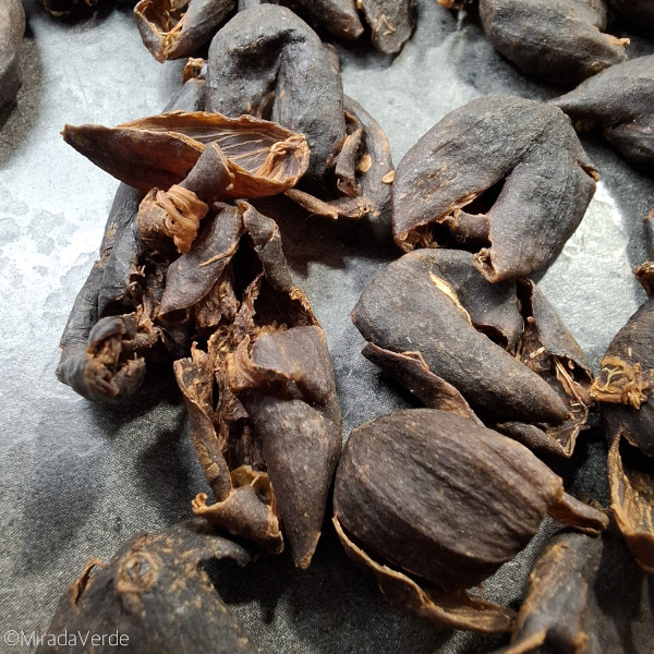 getrocknete Kaffeekirschen, Tee