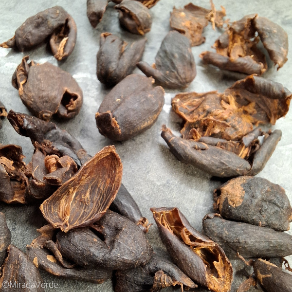 getrocknete Kaffeekirschen, Tee