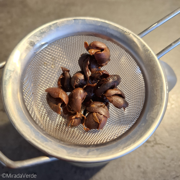 abgeseihter Kaffeekirschentee