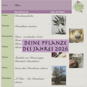 Deine Pflanze des Jahres 2026 Titel