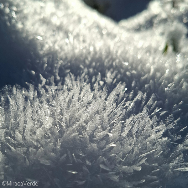 Schneedecke Schneekristalle Sonne