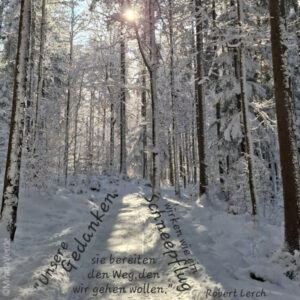 Weg durch verschneiten Wald bei Sonnenschein