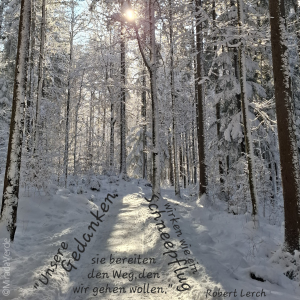 Weg durch verschneiten Wald bei Sonnenschein