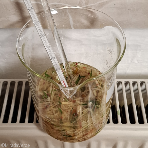 Apfel, Orange, Tanne, Zimt, Ingwer, Pfeffer, Chili, Rosmarin in Sonnenblumenöl