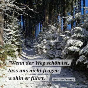 Winterweg, Wald, Schnee, Zitat