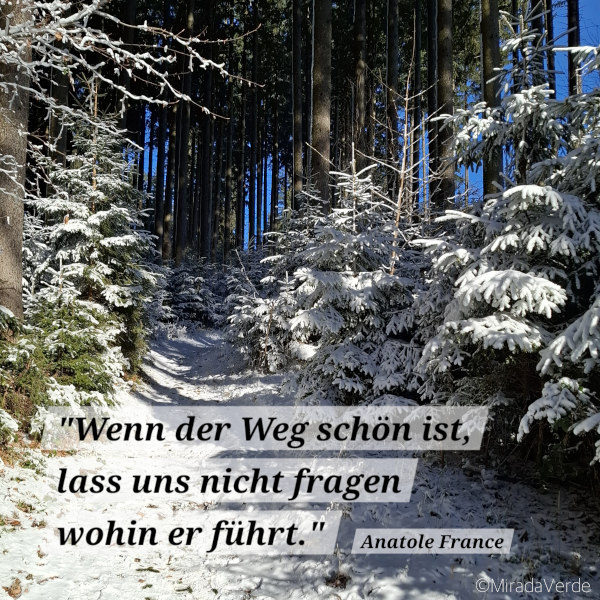 Winterweg, Wald, Schnee, Zitat
