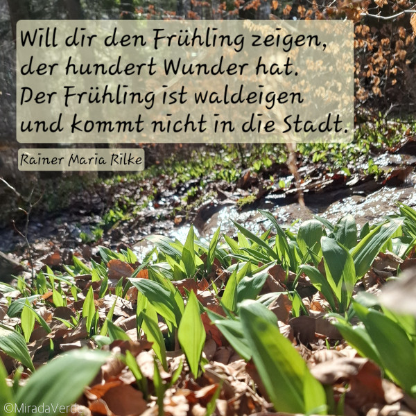 Bärlauch Zitat Rilke Frühling