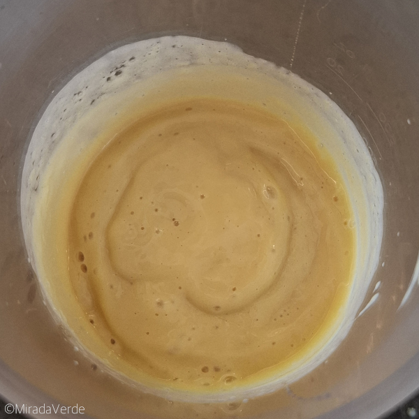 Mango Seidentofu püriert