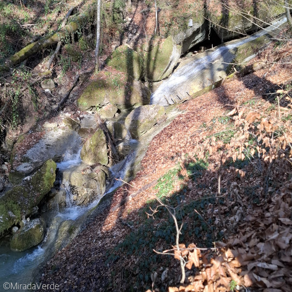 Wasserfall Wald Frühling