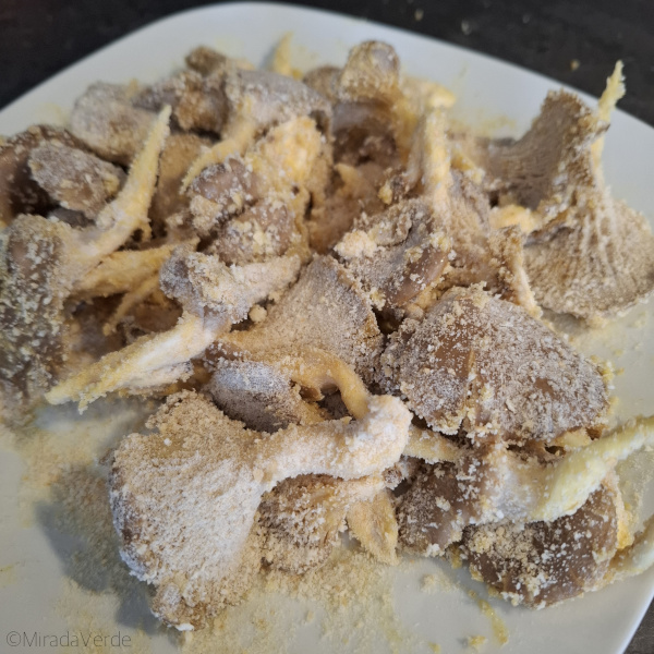 Austernpilze paniert