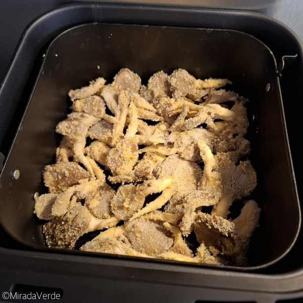 Austernpilze im Aifryer