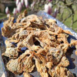 Knusprige Austernpilze serviert