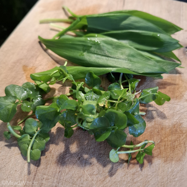 Bärlauch und Brunnenkresse