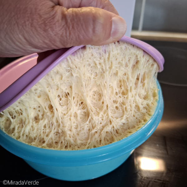 Germteig in Germschüssel