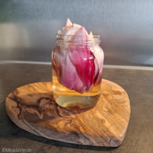 Magnolienblütenblätter im Schraubglas mit Essig übergossen