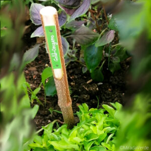 Pflanzenstecker DIY Holz Beschriftung
