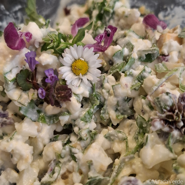 Körniger Widkräuter Ei Frischkäse Aufstrich