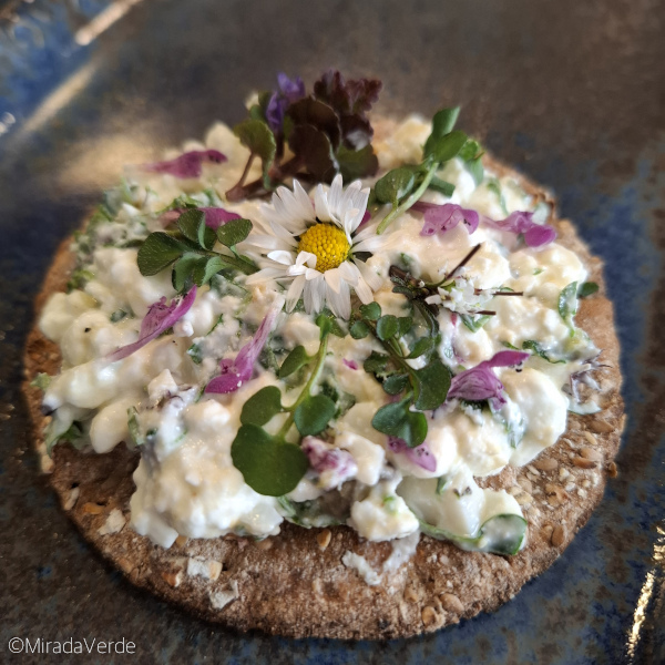 Körniger Widkräuter Ei Frischkäse Aufstrich auf Knäckebrot