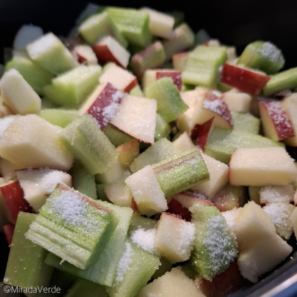 Apfel, Rhabarber, Zucker, Airfryer roh