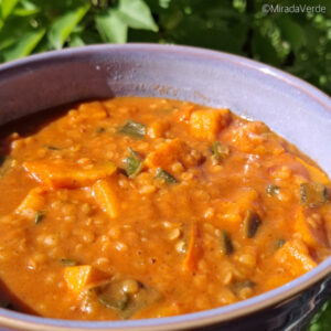 Hokkaido Kürbis Linsen Curry serviert Sonne