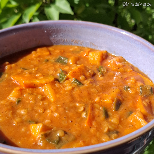 Kürbis-Linsen-Curry