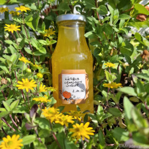 Kürbis Orangen Sirup in Flasche abgefüllt