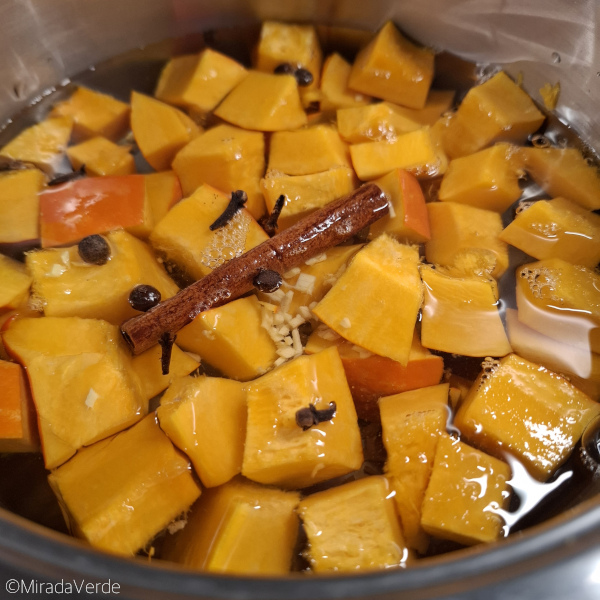 Hokkaido Kürbis Zimt Nelken Piment mit Wasser im Kochtopf